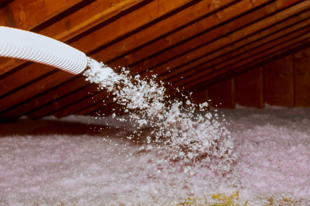 Best Home Insulation Services  in Rancho Santa Margarita, CA