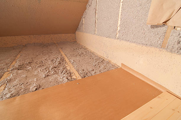 Best Insulation Removal  in Rancho Santa Margarita, CA